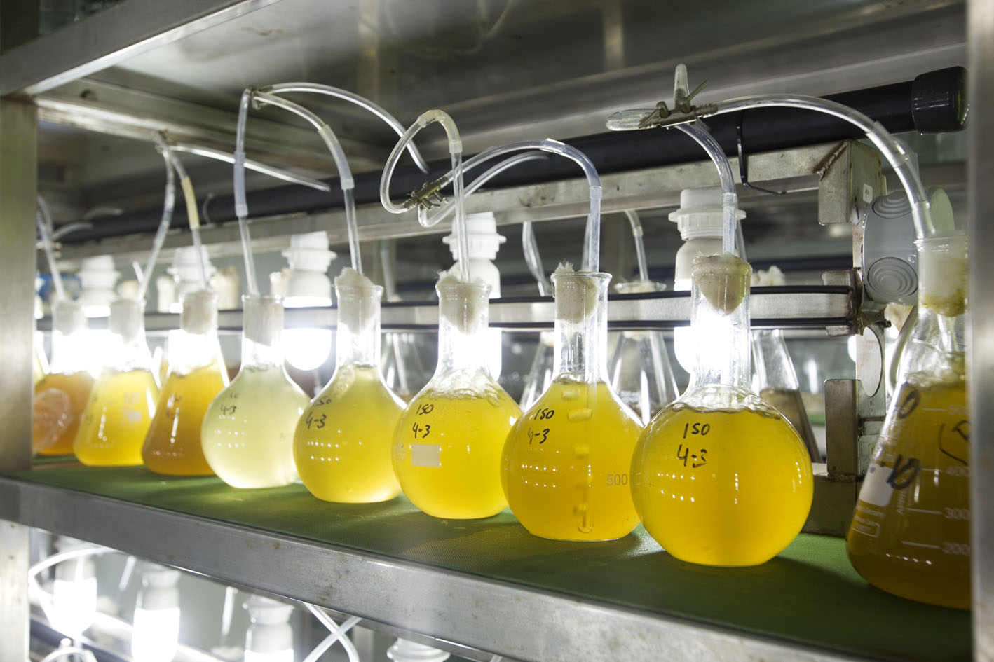 IES Maritimo Zaporito de San Fernando