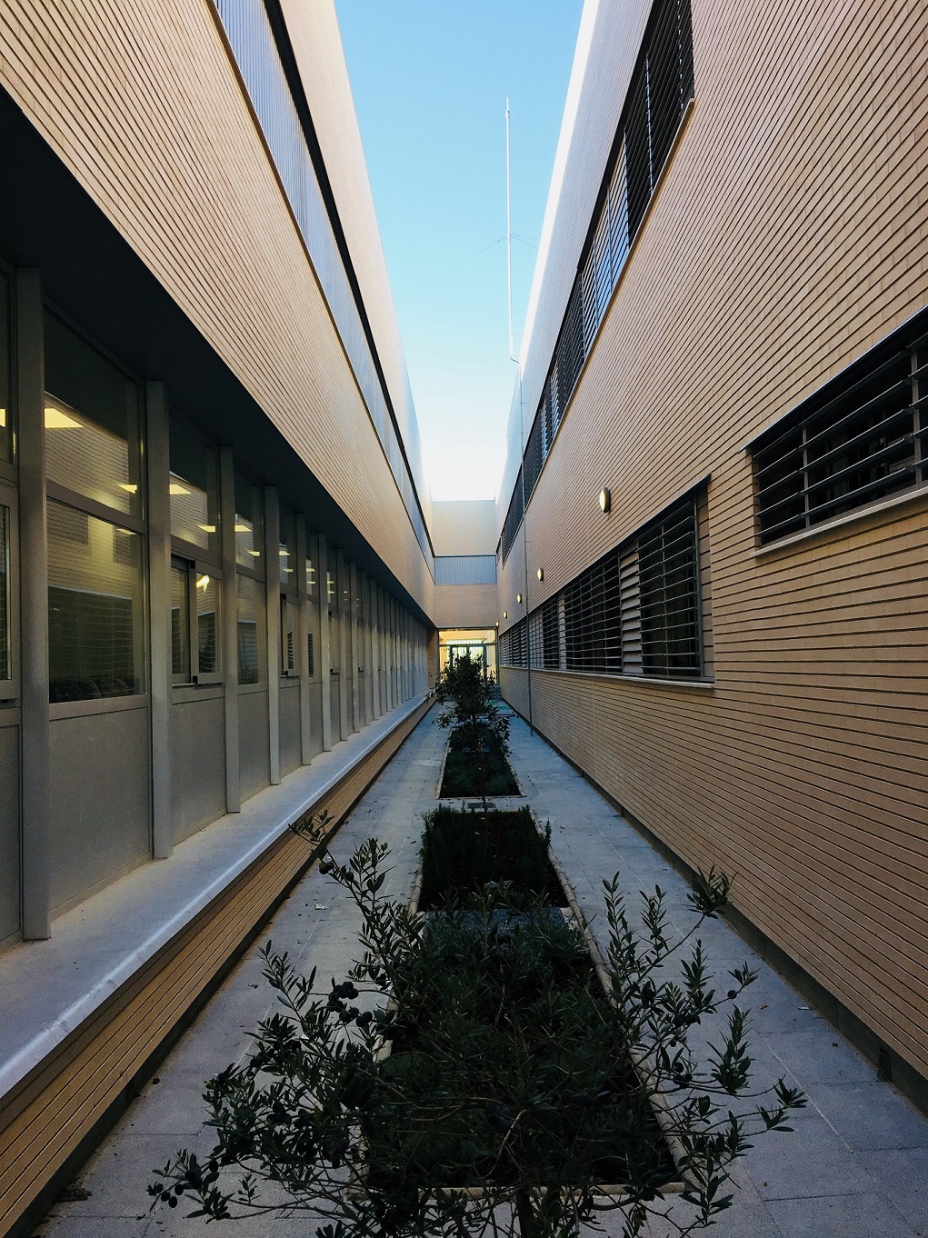 Nuevo CEIP El Almendral en Mairena del Aljarafe