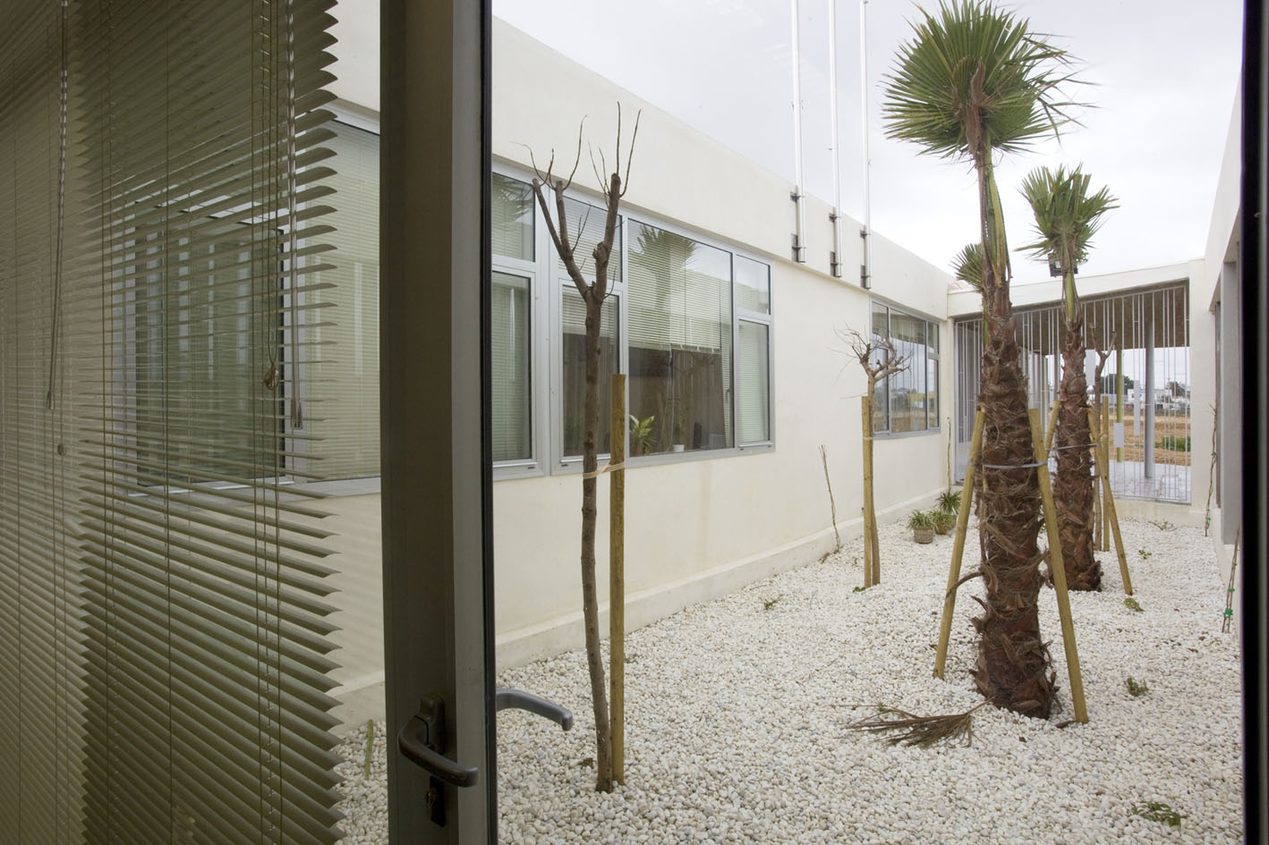 Nuevo CEIP Ángeles Martín Mateo de Alcalá de Guadaíra