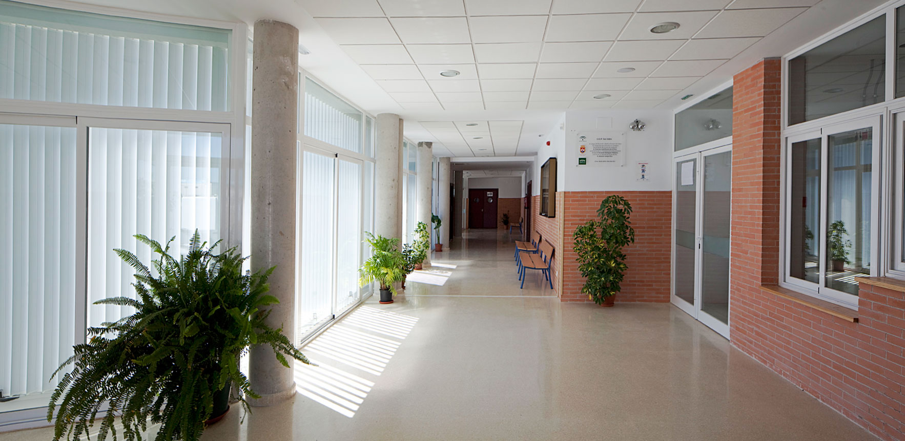 Sustitución del CEIP San Isidro del Viar de Alcalá del Río