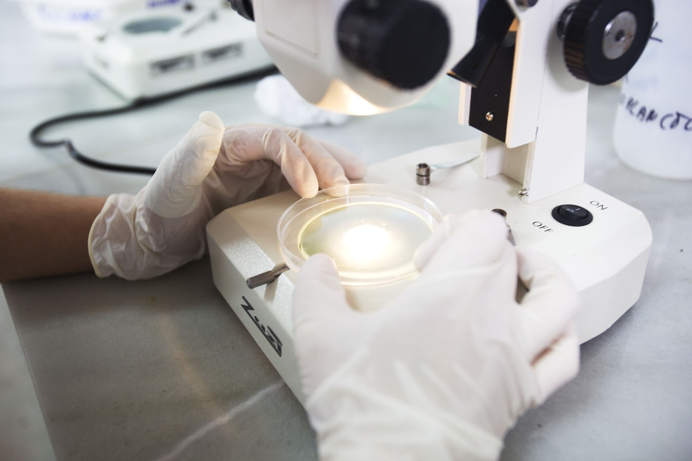 IES Maritimo Zaporito de San Fernando