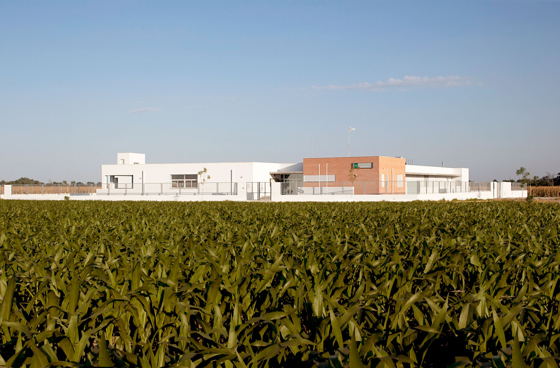 Sustitución del CEIP San Isidro del Viar de Alcalá del Río