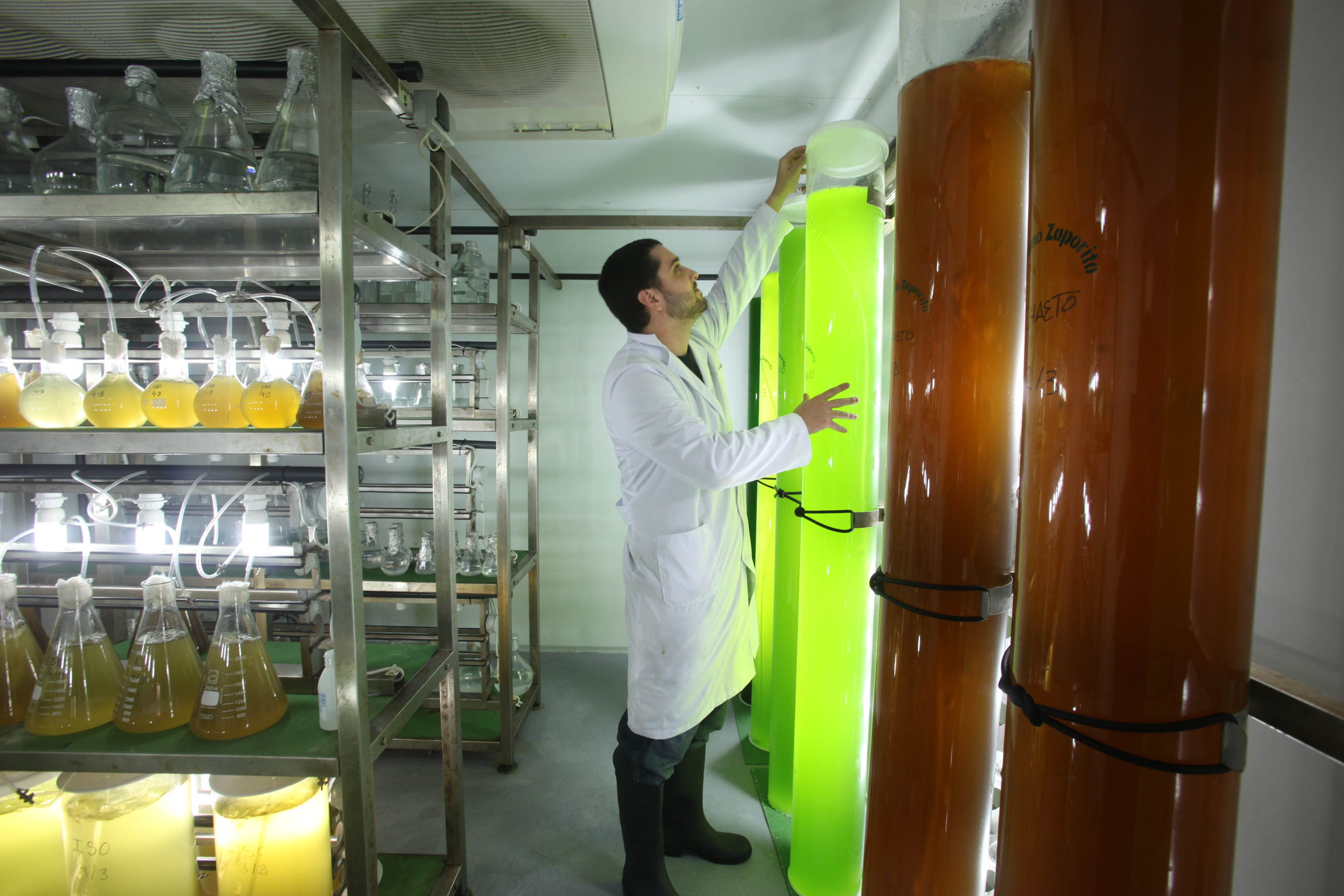 IES Maritimo Zaporito de San Fernando