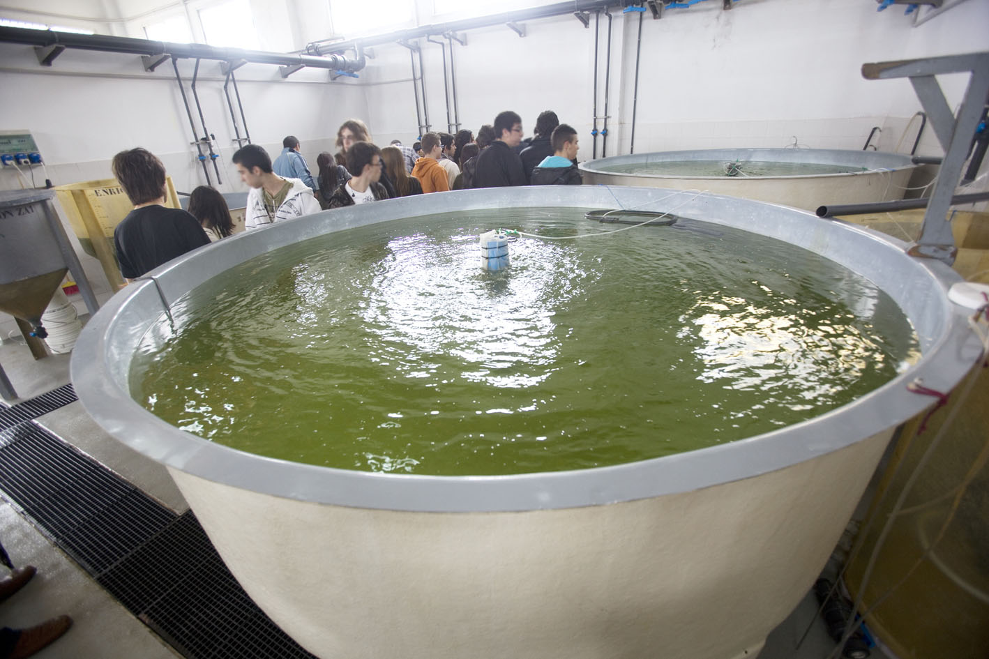 IES Maritimo Zaporito de San Fernando