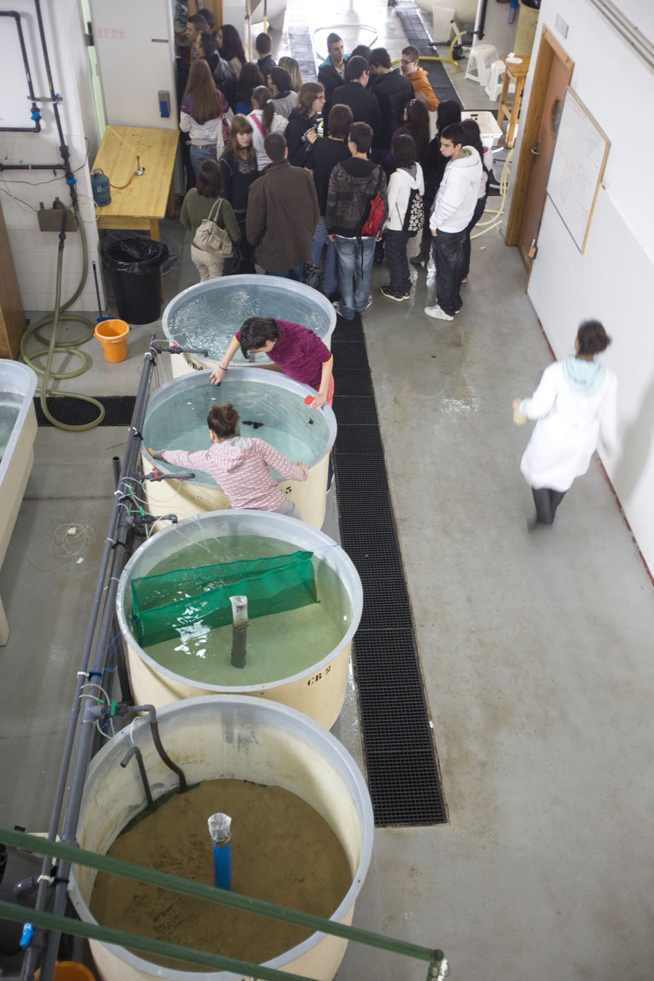 IES Maritimo Zaporito de San Fernando