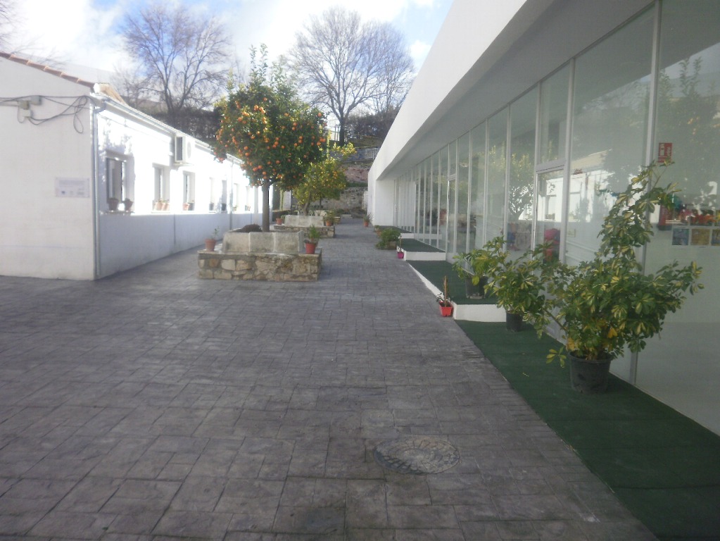 Sustitución y adecuación del CEIP Nuestra Señora de los Remedios de Ibros