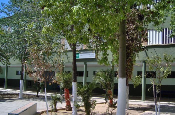 CEIP Lora Tamayo de Sevilla, en el que se acometerán obras del Plan OLA