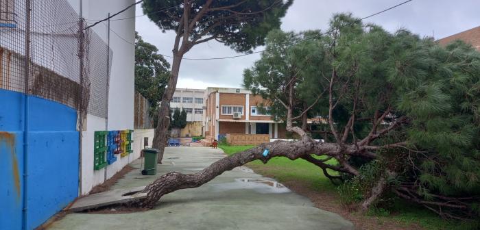 Daños causados por el temporal en el IES Mediterráneo 