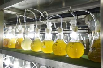 IES Maritimo Zaporito de San Fernando