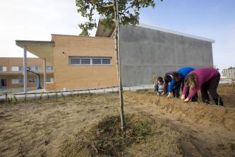 Nuevo CEIP Andrés Bernáldez de Los Palacios y Villafranca