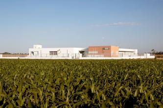 Sustitución del CEIP San Isidro del Viar de Alcalá del Río