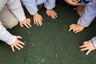 Nuevo CEIP de San Juan del Puerto