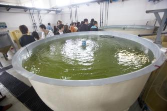 IES Maritimo Zaporito de San Fernando