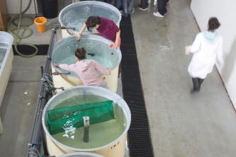 IES Maritimo Zaporito de San Fernando