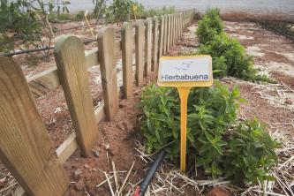 Nuevo CEIP Ginés Morata de Almería