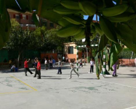lino barrera Júnior La reforma del CEIP Puerta del Mar de Algeciras recibe más de 400.000 euros  del Plan OLA | Agencia Pública Andaluza de Educación