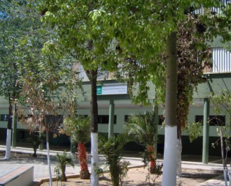 CEIP Lora Tamayo de Sevilla, en el que se acometerán obras del Plan OLA