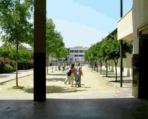 El IES Beatriz de Suabia de Sevilla contará con un nuevo gimnasio.