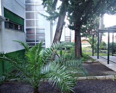 CEIP Alfonso X El Sabio de Jerez de la Frontera (Cádiz)