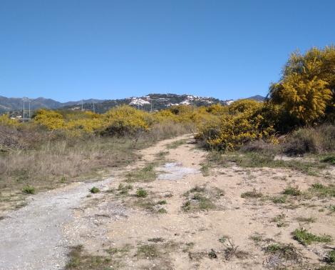 Área del nuevo IES de Las Chapas en Marbella (Málaga)