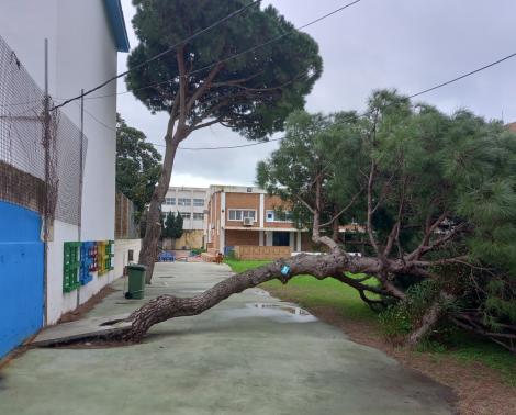 Daños causados por el temporal en el IES Mediterráneo 