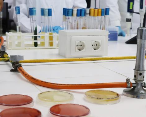 Prácticas de química industrial en centro educativo